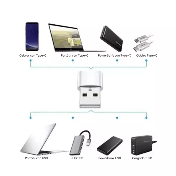 Conversor Usb Type-C Hembra