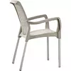 Silla Rimax Shia Con Brazos