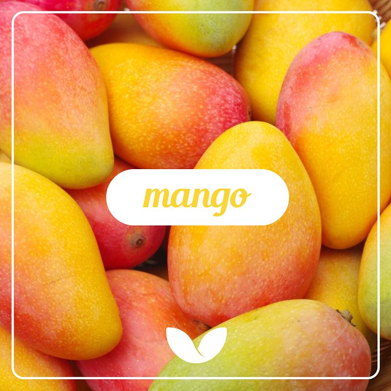 El mango, una belleza tropical