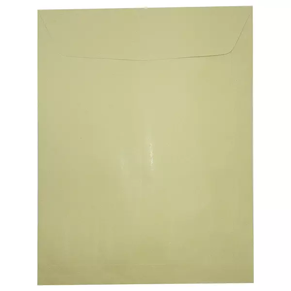 Sobre Manila 1/2 Oficio Especial 21cm X 27 Cm