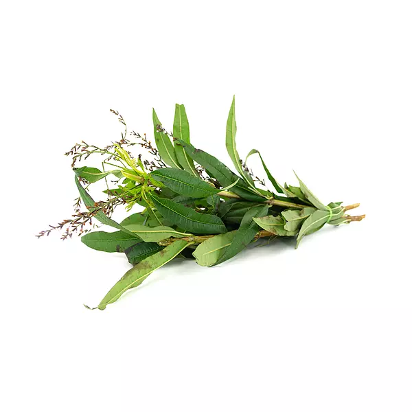 Cidrón - M
