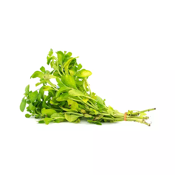 Menta - M