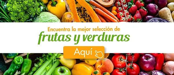 Domicilios VillavoExpress