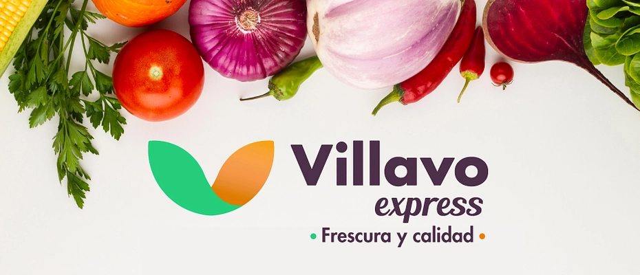 Banner prinicipal villavo express