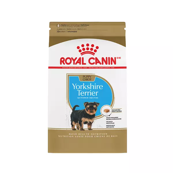 Purina Royal Yorkshire Terrier Pupi