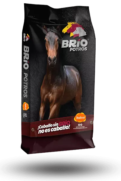 Brio Potros Bulto x 40 Kg