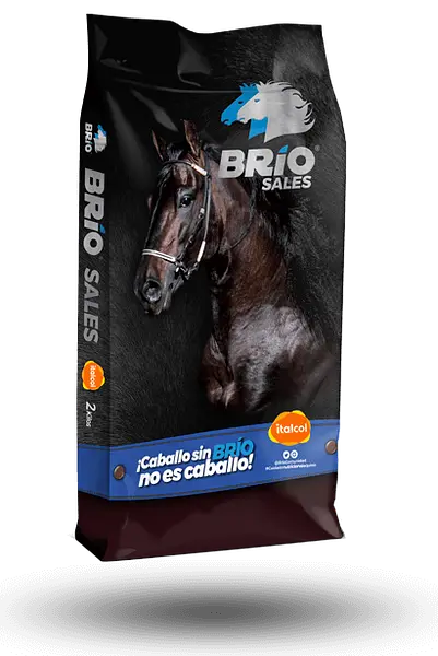 Brio Sales 10 Unidades x 2 Kg