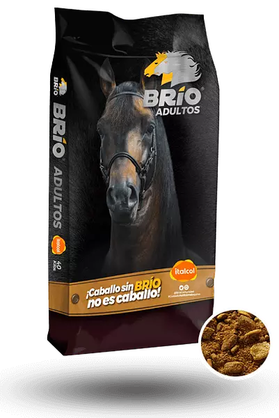 Brio Adultos Bulto x 40 Kg