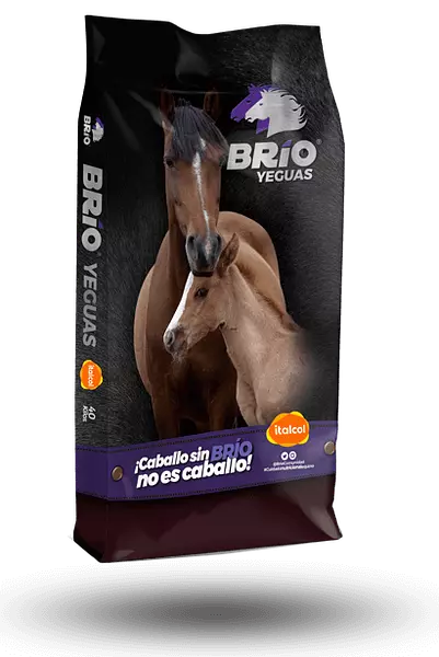Brio Yeguas Bulto x 40 Kg