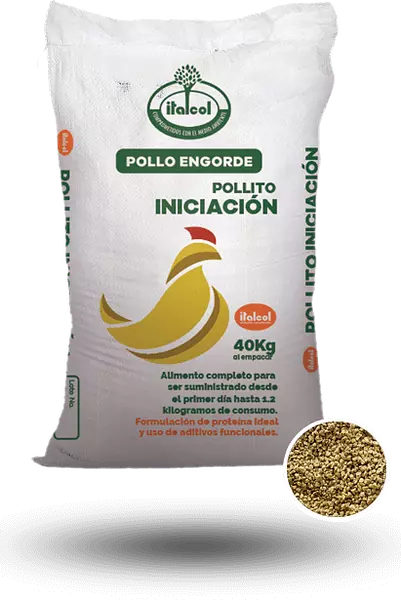 Pollito Iniciacion Q x 40 G