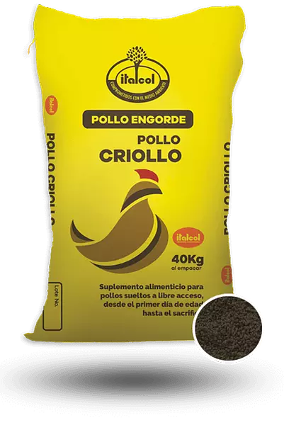 Pollo Criollo Q x 40 Kg