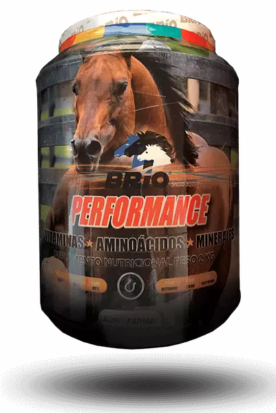 Brio Performance X 2 Kg
