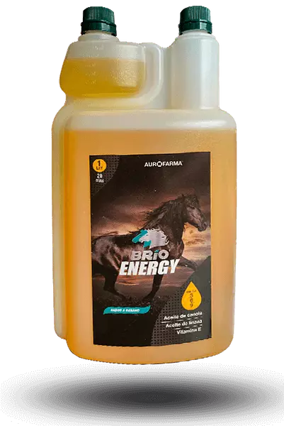 Brio Energy X 1 Lt