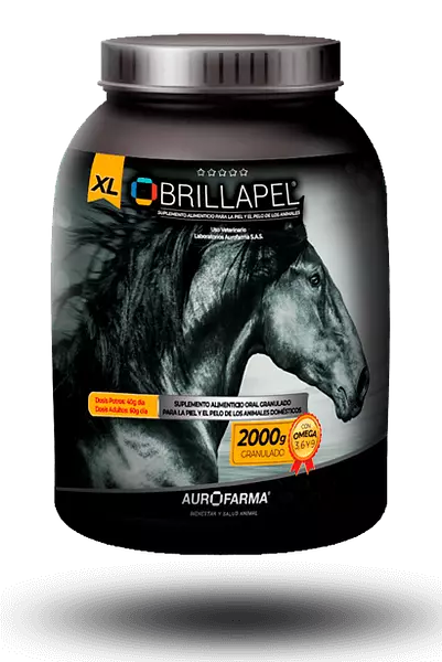 Brillapel Equinos x 1 Kg