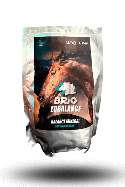 Brio Eq Balance X 1 Kg