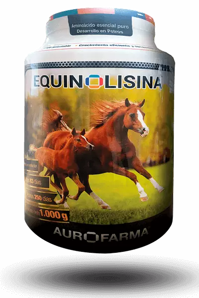 Equinolisina X 1 Kg
