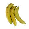Banano Guacal
